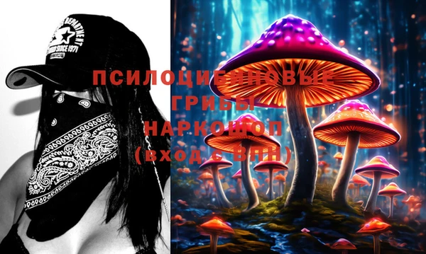 молекула духа Аркадак