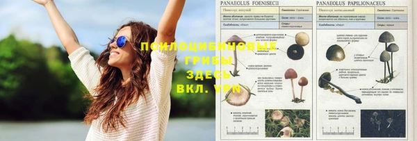 молекула духа Аркадак