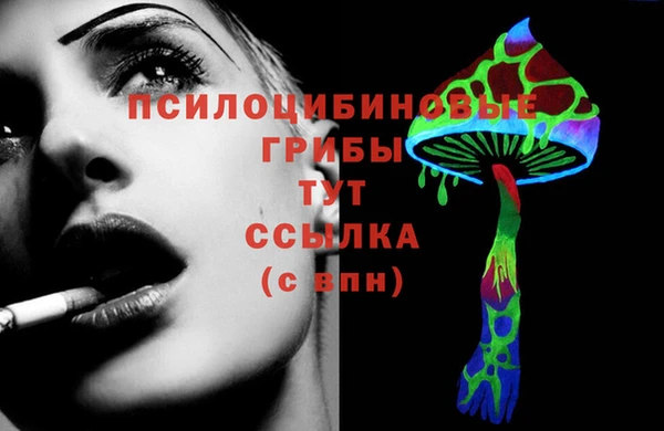 молекула духа Аркадак