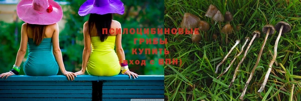 молекула духа Аркадак