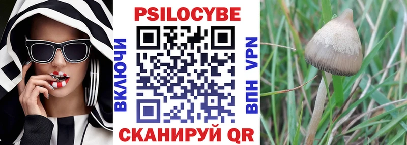 купить цена Николаевск-на-Амуре Галлюциногенные грибы Magic Shrooms